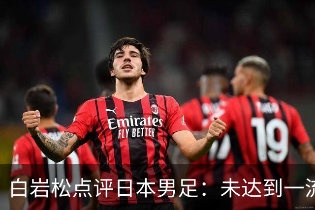 白岩松点评日本男足：未达到一流强队标准，仍需克服对荷兰的恐惧